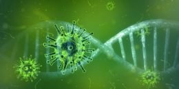 Co było pierwsze – wirus czy komórka? O znaczeniu wirusów w ewolucji życia na Ziemi | prof. Julia Durzyńska