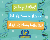 Jak się tworzy skóra? Skąd się biorą łaskotki? Co to jest DNA? #09 LAMU’22