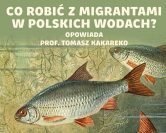 Ryby nasze i obce – cisi mieszkańcy Rzeczypospolitej [E142]