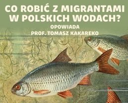 Ryby nasze i obce – cisi mieszkańcy Rzeczypospolitej | prof. Tomasz Kakareko