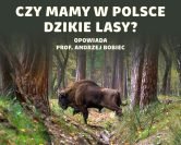 Polskie lasy – czy da się w nich pogodzić ekologię z ekonomią? | prof. Andrzej Bobiec