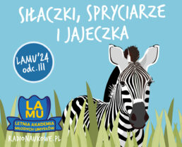 Dlaczego zebry mają paski? Czy ryby sikają i piją wodę? LAMU'24 odc. 3