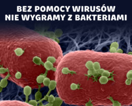 Wojna z bakteriami - czy właśnie przegrywamy? | prof. Tamara Aleksandrzak-Piekarczyk, prof. Małgorzata Łobocka