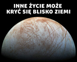 Życie we Wszechświecie – na węglu czy na krzemie? Blisko czy daleko? | prof. Ewa Szuszkiewicz