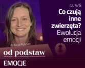 Co czują zwierzęta? Ewolucja emocji | OD PODSTAW: Emocje | 4/6 | dr Alicja Puścian