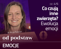 Czy psu bywa wstyd? Ewolucja emocji | OD PODSTAW: Emocje | 4/6 | dr Alicja Puścian