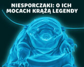 Niesporczaki – twardziele mikroświata, naginający zasady biologii | prof. Łukasz Michalczyk