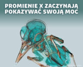 Potęga Roentgena – dawne odkrycie, które dziś weryfikuje niejedną teorię | prof. Jacek Tarasiuk