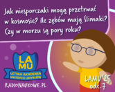 LAMU'25 #07 Jak szybko rosną paznokcie? Skąd się biorą wady wzroku? Dlaczego łzy są słone?