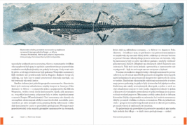 Fragment książki