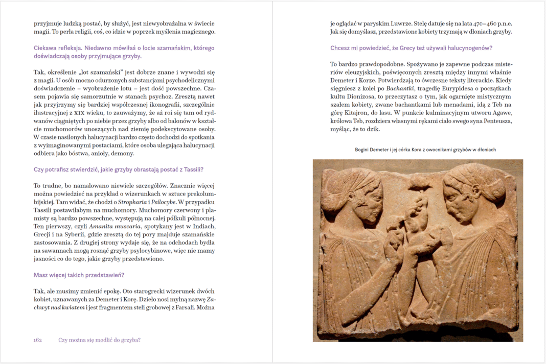 Fragment książki