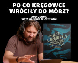 Preludium. Po co i jak wrócić do mórz? | Audiobook 