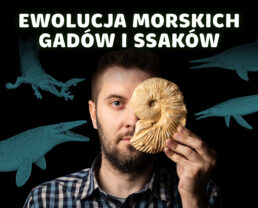 Ewolucja morskich gadów i ssaków – jakie są na nią dowody? | dr Daniel Tyborowski
