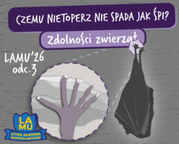 LAMU '26 #03 Dlaczego koty nie lubią się z psami? Czemu nietoperze śpią do góry nogami?