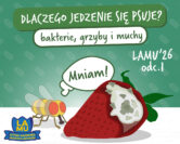 LAMU'26 #1 Dlaczego jedzenie gnije? Czy mucha ma jelita?