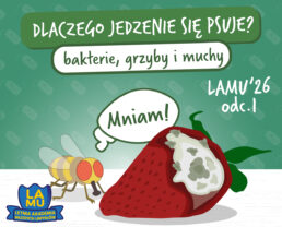LAMU'26 #1 Dlaczego jedzenie gnije? Czy mucha ma jelita?