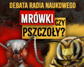 Mrówki czy pszczoły? DEBATA Radia Naukowego | dr Michał Kolasa, dr Igor Siedlecki