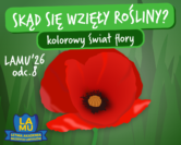 LAMU'26 #08 Jakie jest najwyższe drzewo? Dlaczego banany są zgięte?