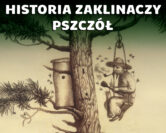 Bartnictwo – dawna sztuka zdobywania miodu | prof. Aneta Pieniądz