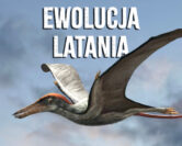 Ewolucja latania, czyli czyli ptasie dinozaury, pterozaury i inni lotnicy | dr Gerard Gierliński