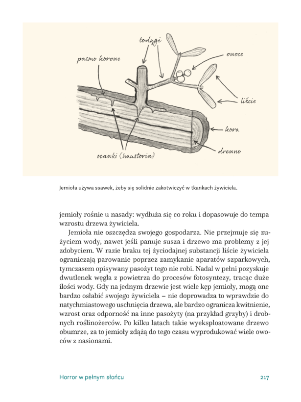 Fragment książki